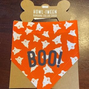 Set of two Halloween dog handkerchiefs.